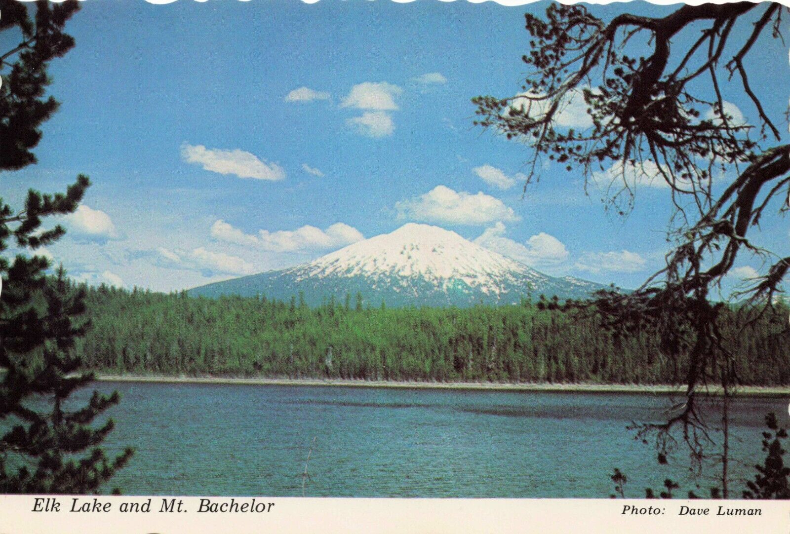 Postcard Elk Lake and Mt. Bachelor near Bend, Oregon