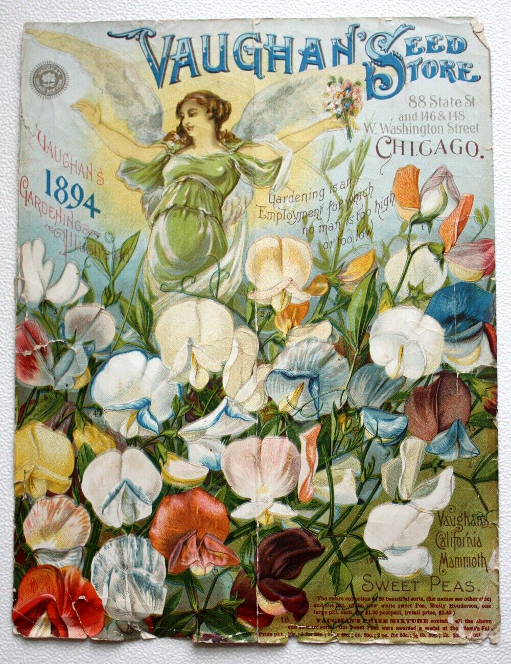 Rare Antique ORIGINAL 1894 VAUGHAN\'S SEED STORE Gardening Flower Catalog Cover