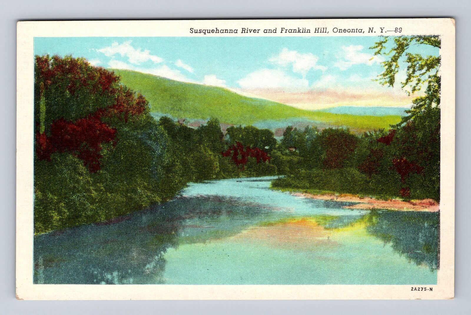 Oneonta NY-New York, Franklin Hill, Susquehanna River, Antique Vintage Postcard