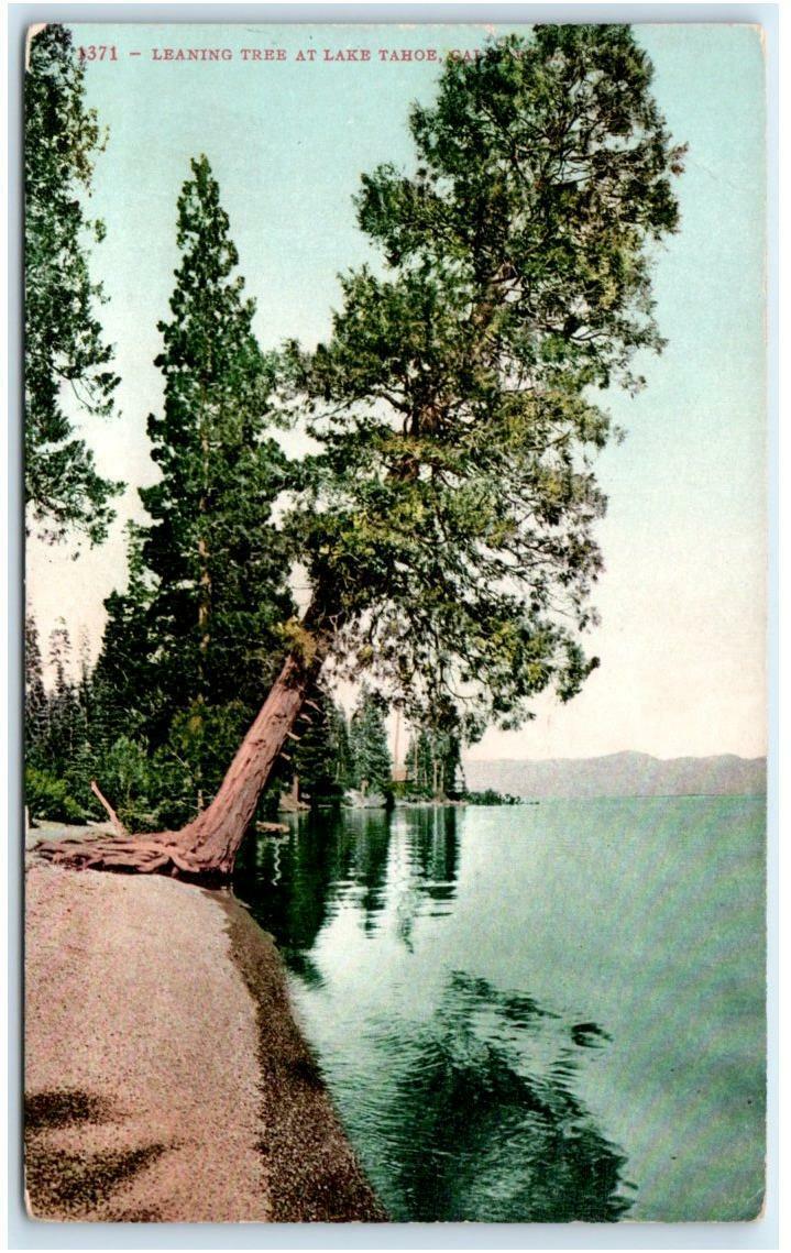 LAKE TAHOE, CA California ~ LEANING PINE TREE on Lake c1910s Mitchell Postcard