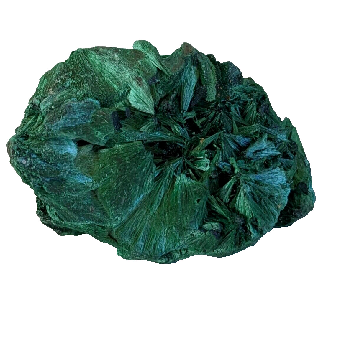 Fibrous Chatoyant Malachite from D R Congo-Stone- Mineral Specimen #9580