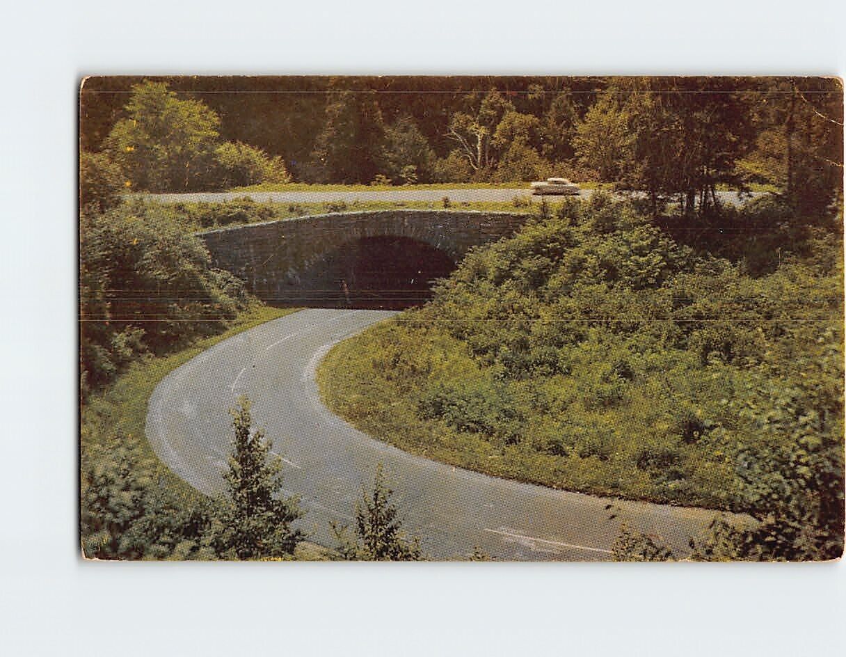Postcard Loop Over new Found Gap Highway Great Smoky Mountains National Park USA
