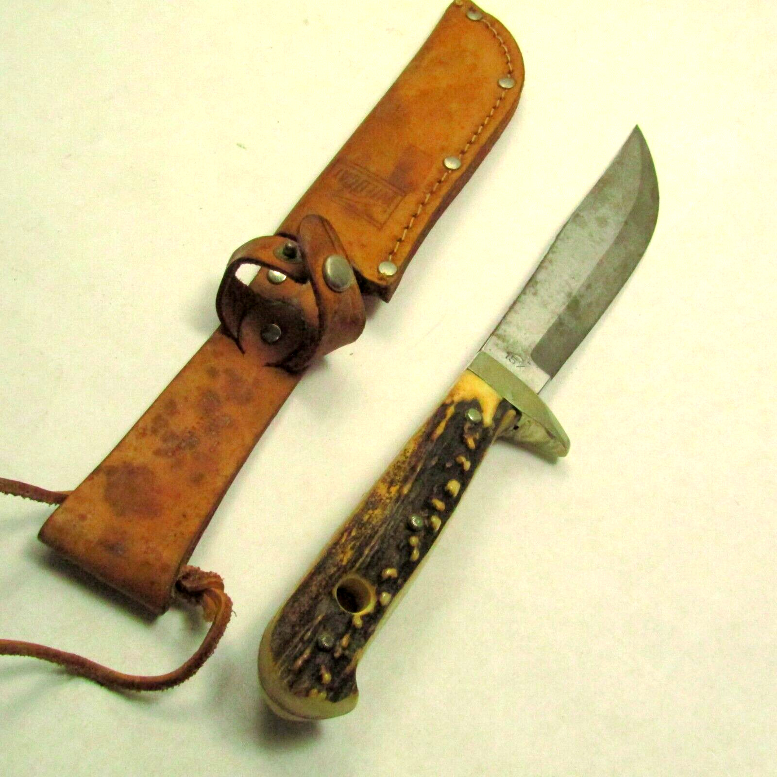 Vintage Wild Cat Solingen Germany Fixed Blade Knife Stag Handle