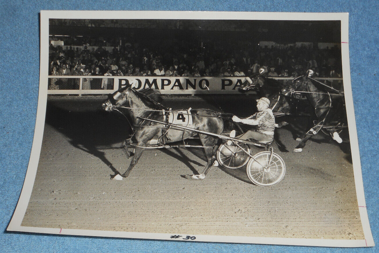 1970 Harness Racing Press Photo Horse \