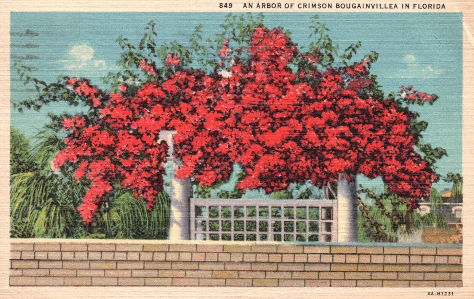 Postcard FL Arbor of Crimson Bougainvillea Florida 1937 Linen Vintage PC e4053