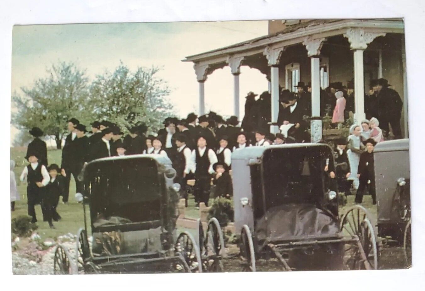 Postcard Heart of Amishland AMISH WORSHIP GATHERING Amish men and children Farm