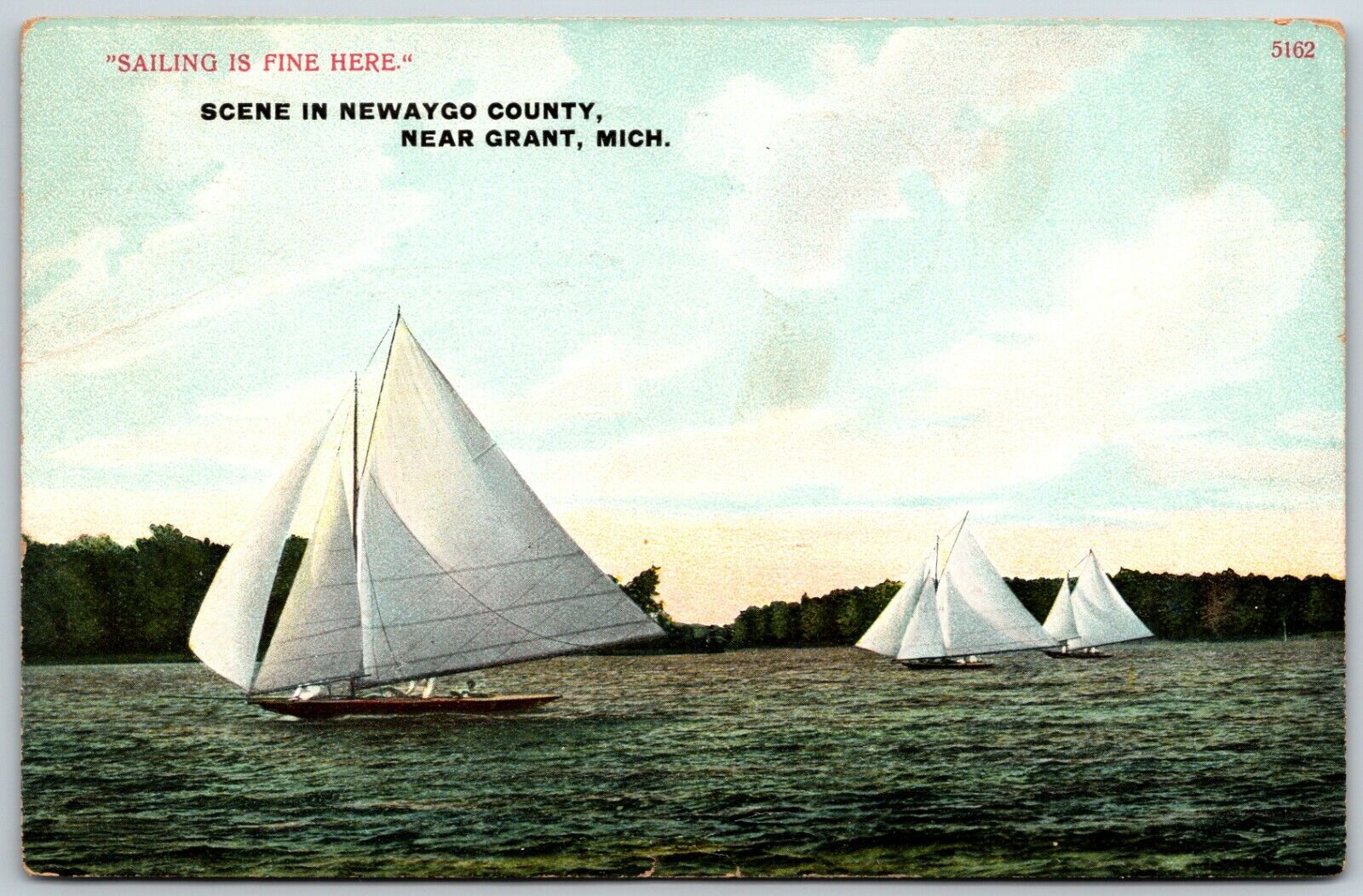 Scene in Newaygo County Near Grant, Michigan - Postcard