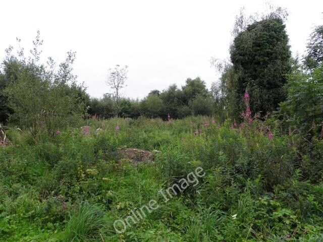 Photo 6x4 Graffagh Townland Allagesh Thick undergrowth with the occasiona c2010