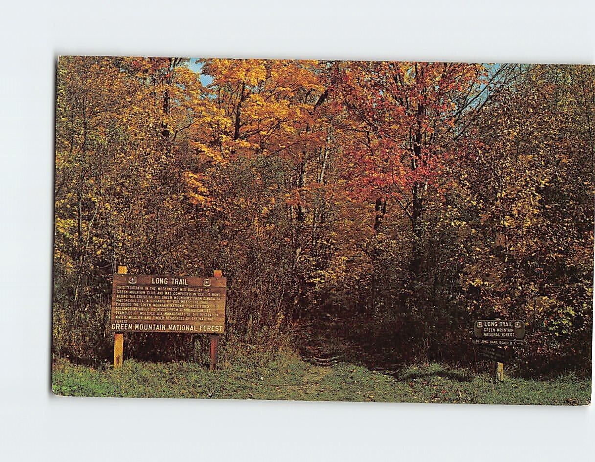 Postcard Long Trail Green Mountain National Forest Mendon Vermont USA