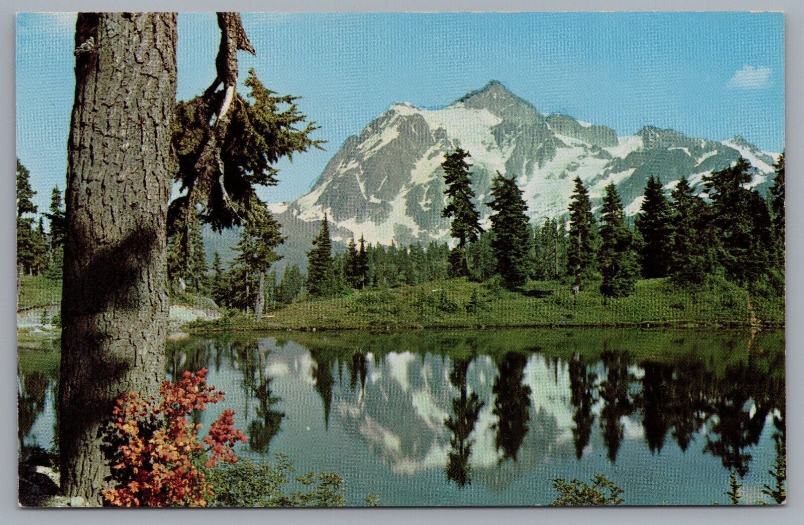 Mt. Shuksan From Heather Meadows Mount Baker National Forest Postcard