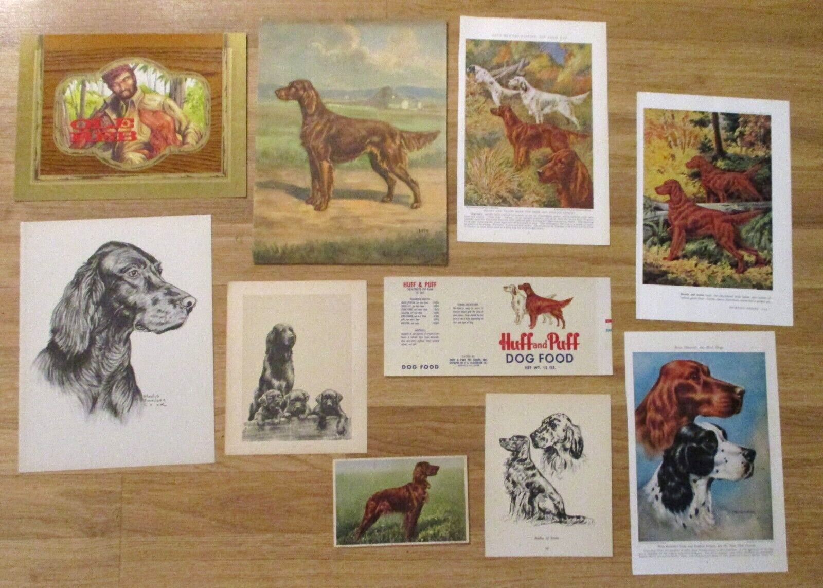 10 pcs Vintage IRISH SETTER dog  prints/label/card-1933-60-Thorne/Megargee/Cook
