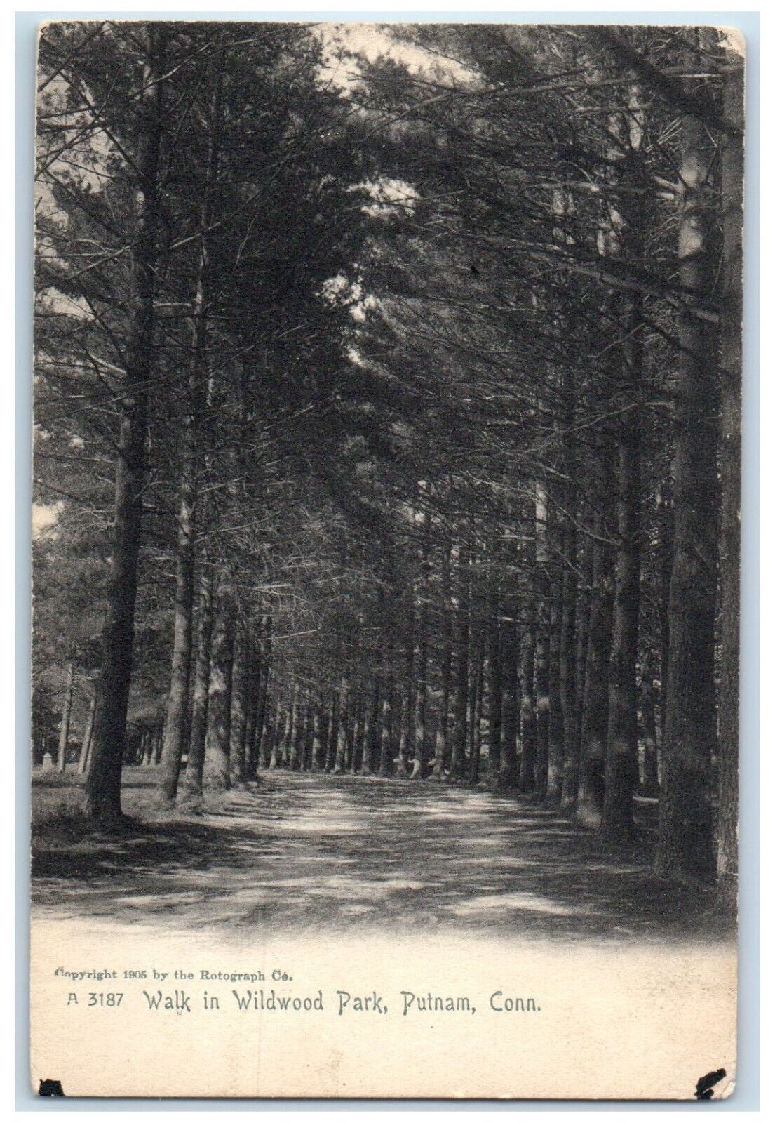 c1910 Walk in Wildwood Park Putnam Connecticut CT South Woodstock CT Postcard