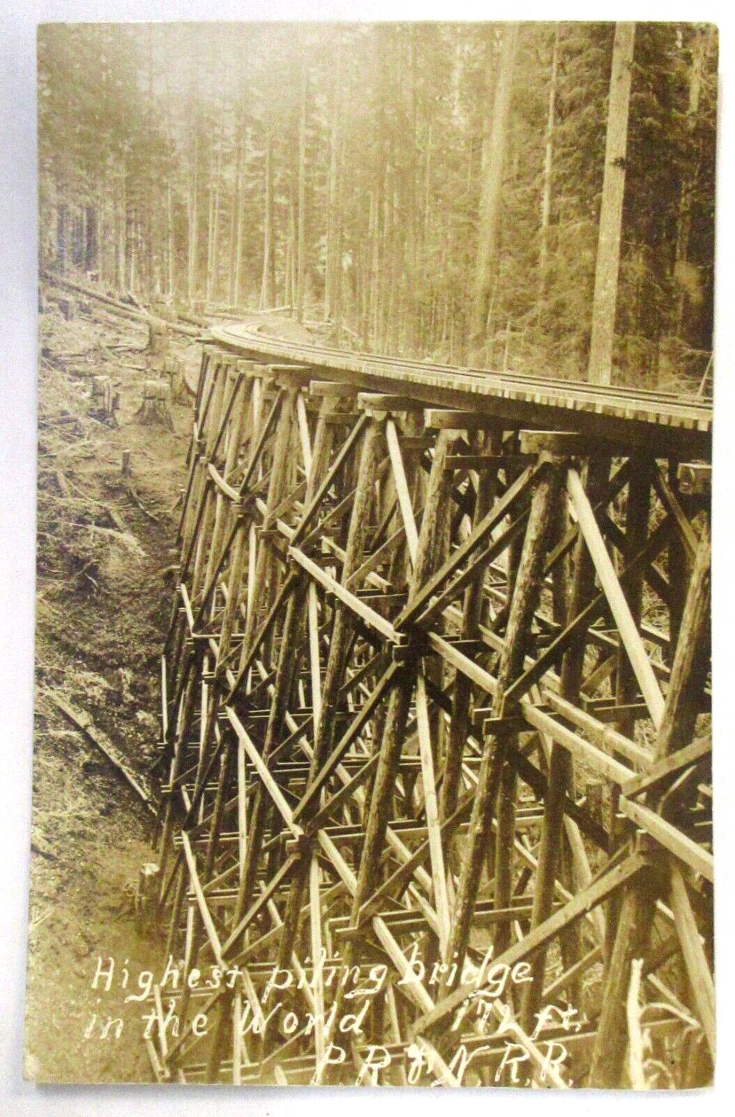 1912 PR&N RAILROAD Highest Piling Bridge in World 172 Ft. OREGON RPPC postcard