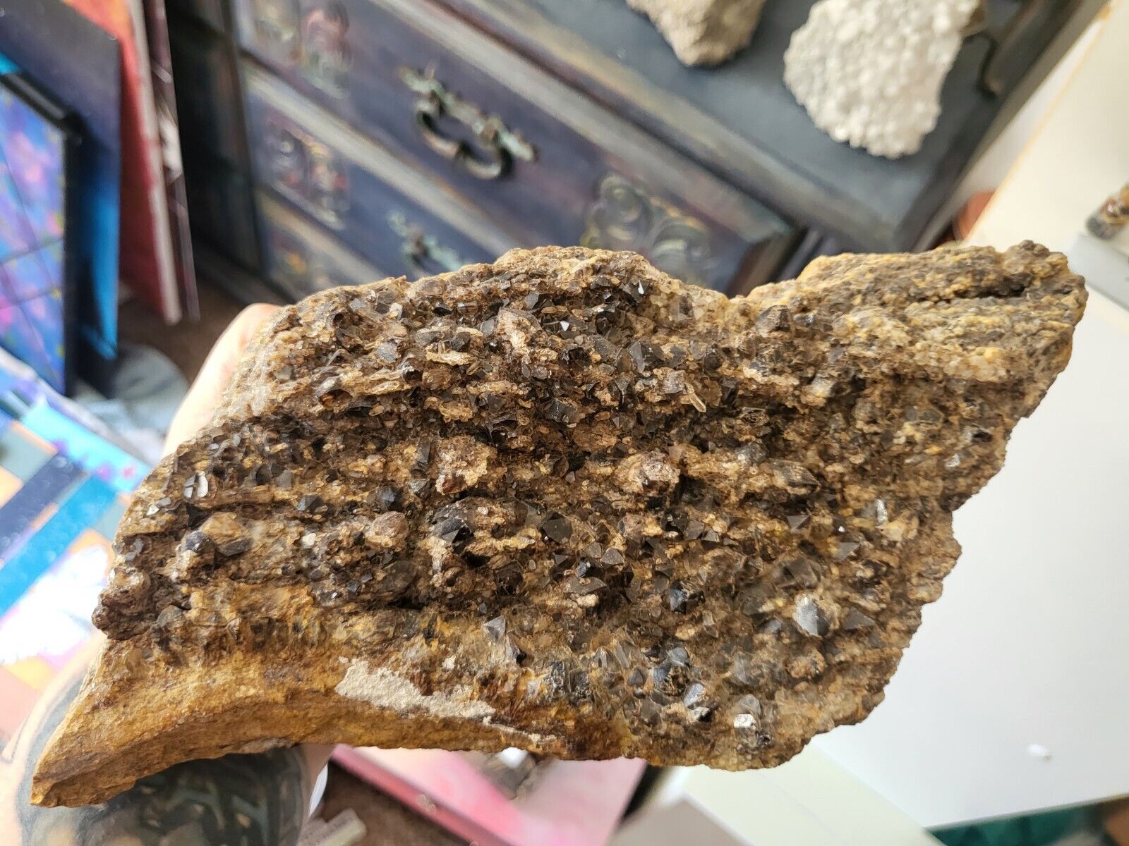 Crystallized Petrified Wood With Druzy Veins 