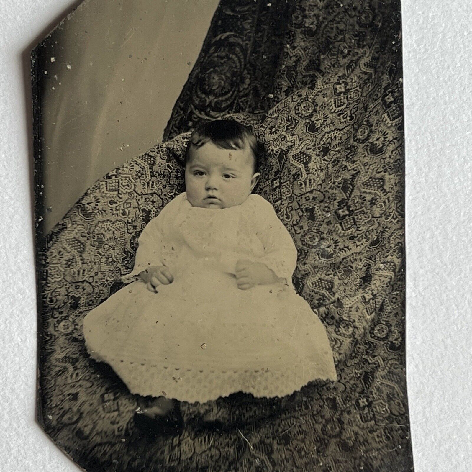 Antique Tintype Photograph Adorable Baby Spooky Hidden Mother Under Blanket Odd