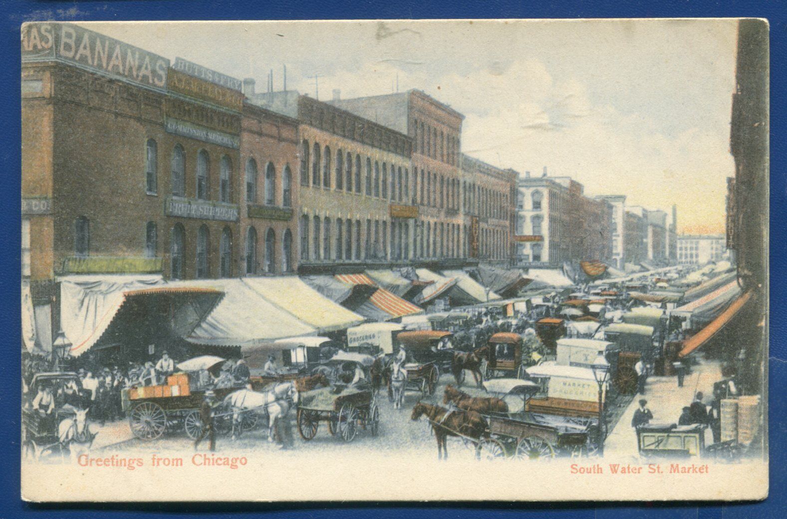 Chicago ILLinois il Greetings South Water Street Market Scene postcard