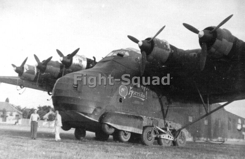 WW2 Picture Photo German heavy transport aircraft Me.323 Giant at field  3628