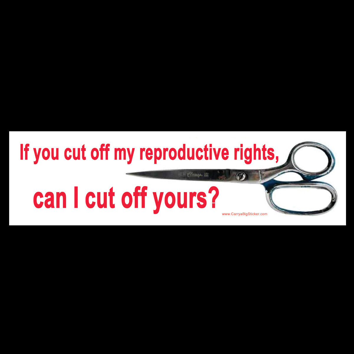 If You Cut My Reproductive Rights Can I Cut Off Yours BUMPER STICKER or MAGNET 