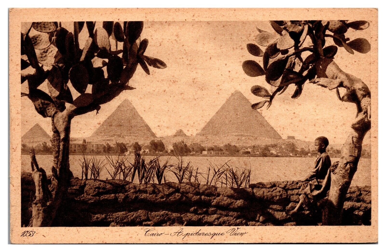 ANTQ Cairo-A Picturesque View, The Great Pyramids, Little Boy, Egypt Postcard