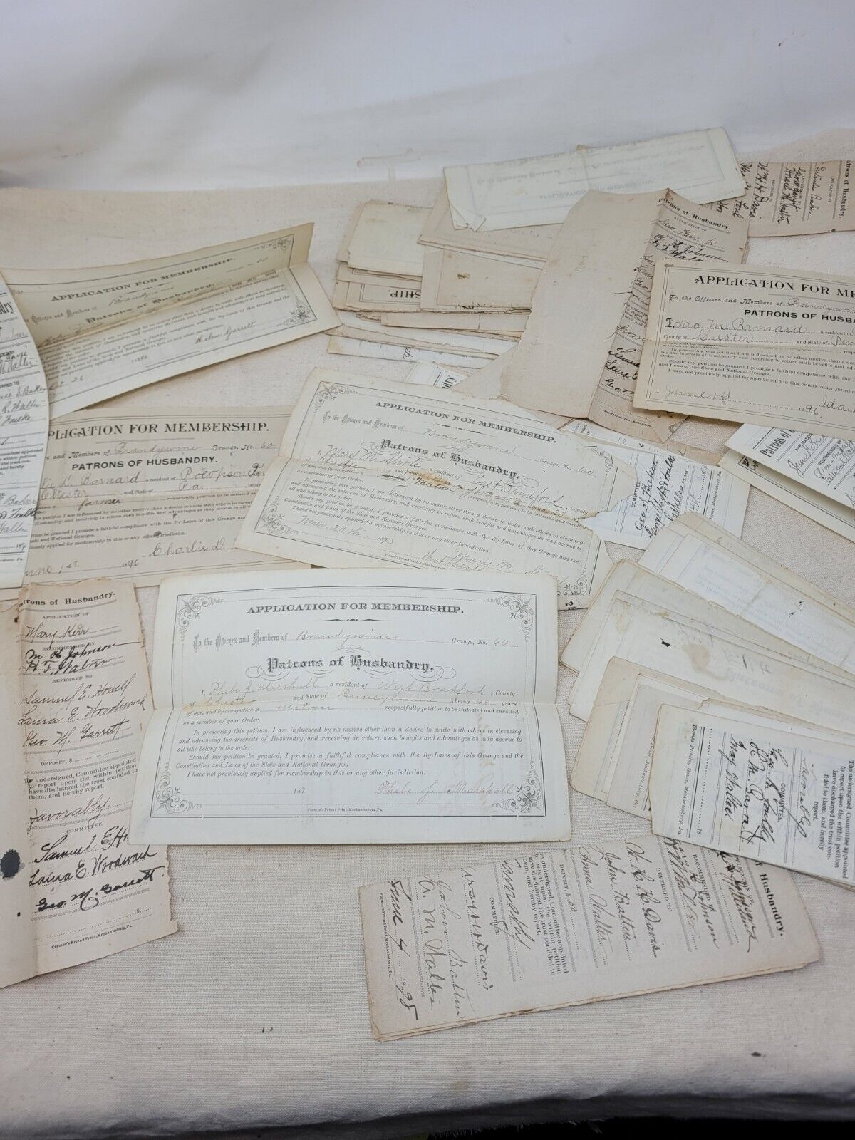 patrons of husbandry application receipt 1880s-1890s Lot Of (97)