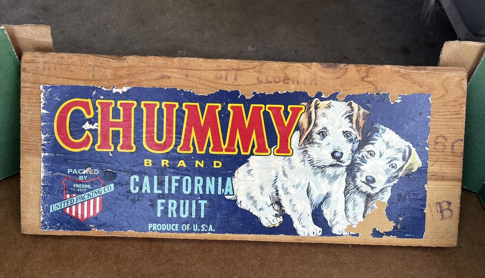 CHUMMY Vintage Fresno Grape Crate Label with Dogs