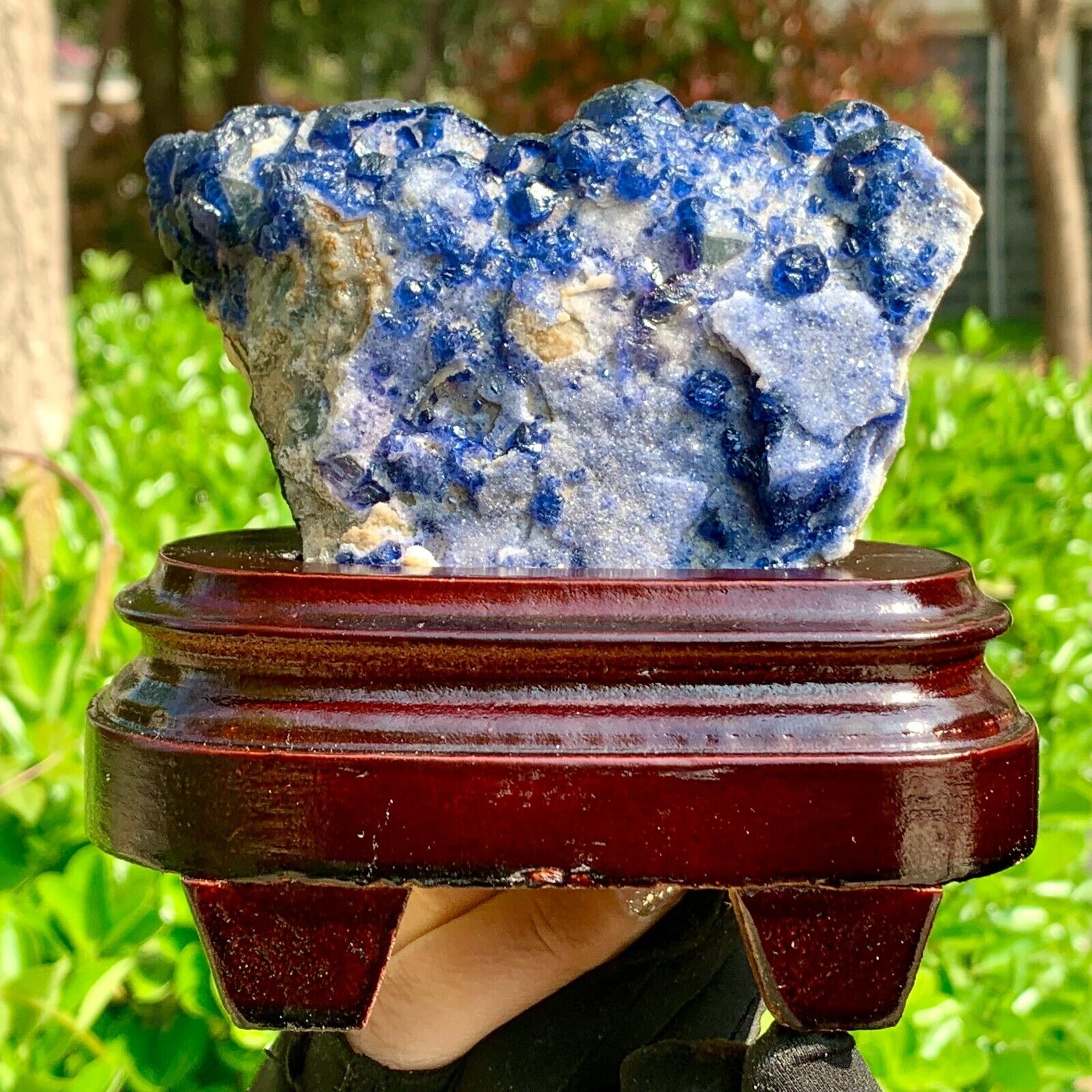 1.14LB Natural Blue berry fluorite Mineral Crystal Specimen/Inner Mongolia