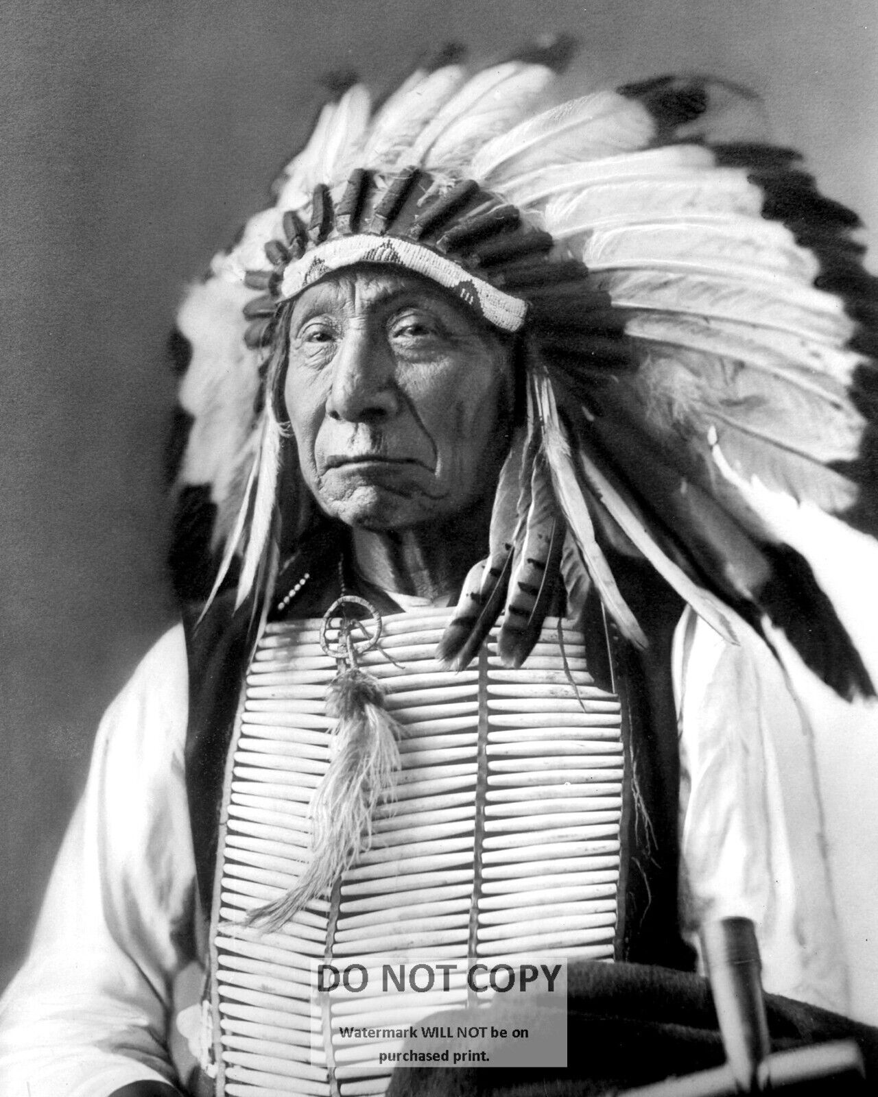 RED CLOUD OGLALA CHIEF NATIVE AMERICAN INDIAN - 8X10 PHOTO (BT937)