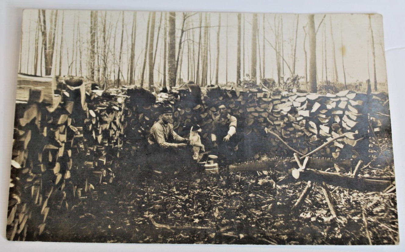 Vintage RPPC Postcard - Wood Chopping 2 Loggers With Dog - Unposted