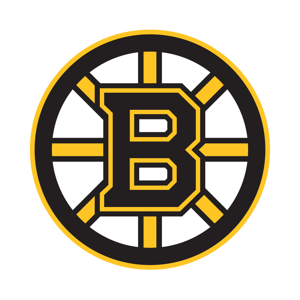 Boston Bruins NHL Hockey Team Logo 4