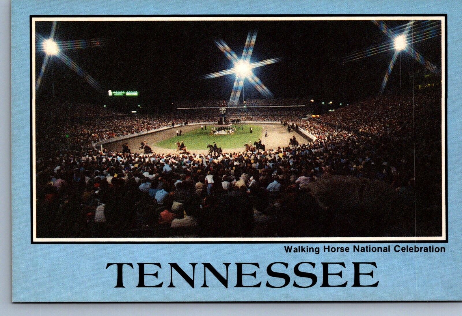Postcard Vtg Tennessee Walking Horse Celebration Shelbyville 4x6