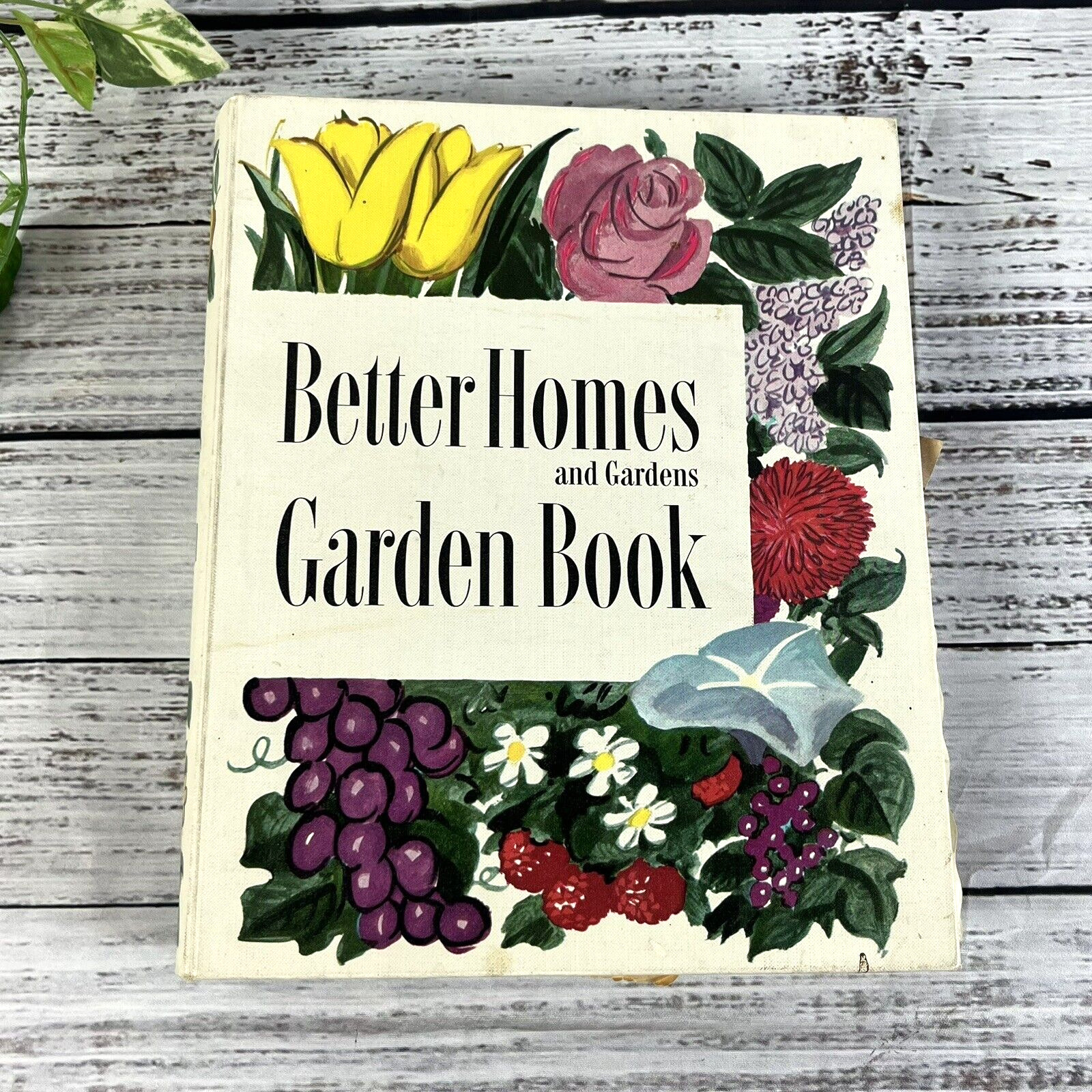 Vintage Better Homes and Gardens Garden Book Binder Hard Side 2nd Edition 1951