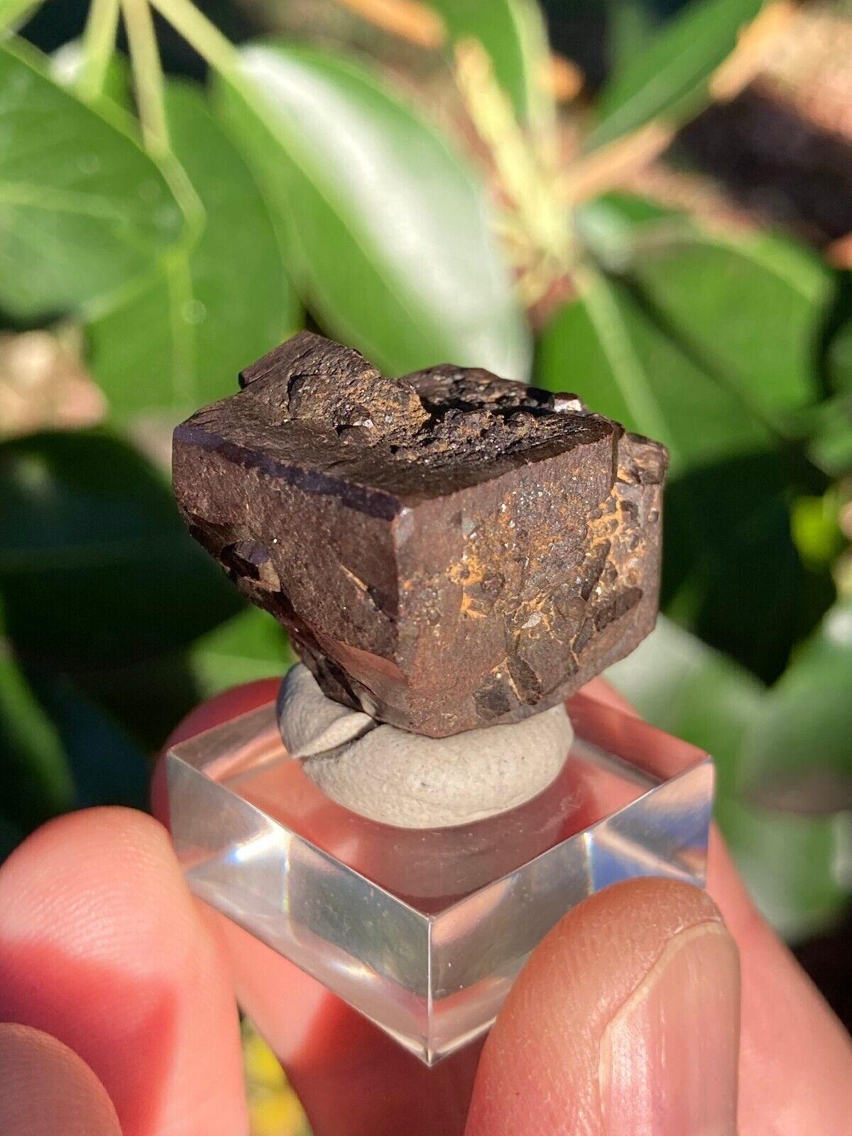 Cool Cubic Limonite Crystal • 28 Grams From Morocco Rare Limonite 6