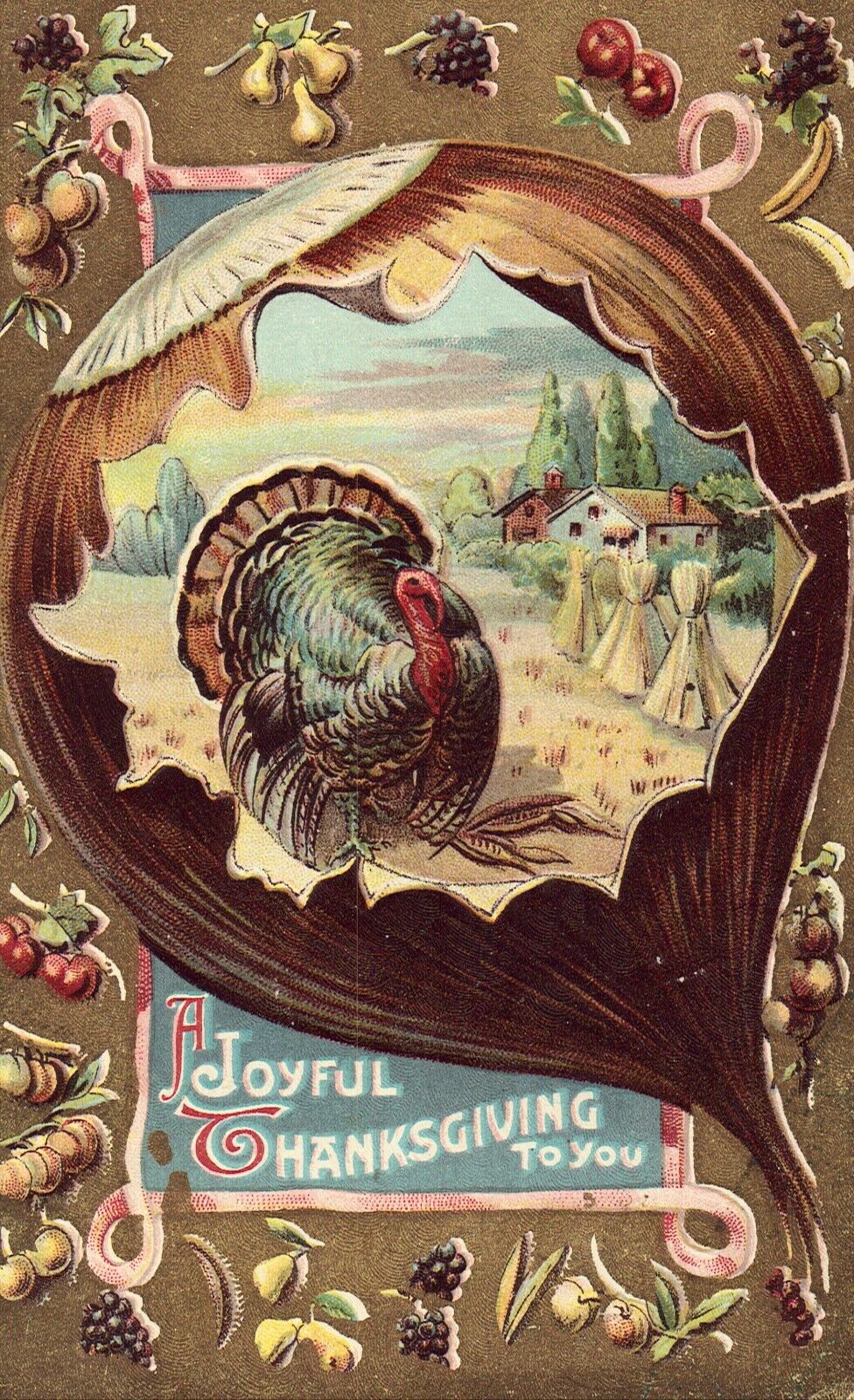 Vintage Thanksgiving Postcard - Turkey
