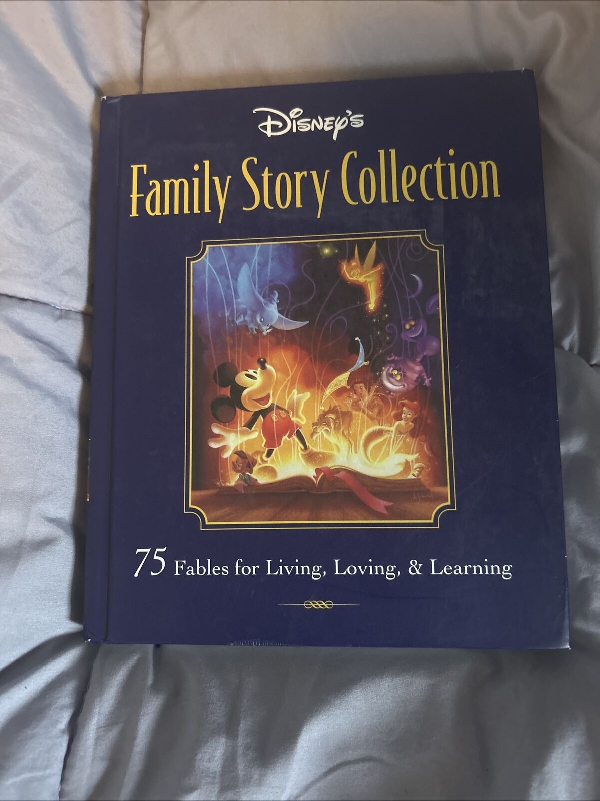 Disney\'s Family Story Collection Hardcover 75 Fables For Living Loving & Learnin