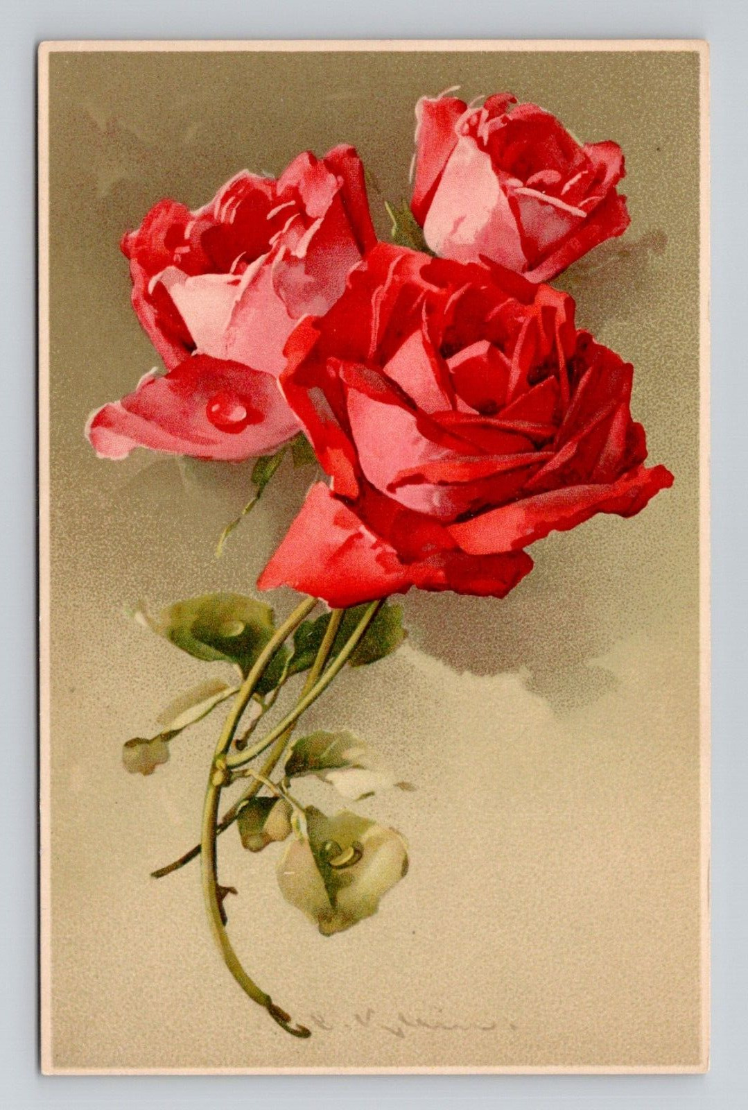 Postcard Catherine Klein a/s Red Rose Flowers, Meissner Antique A2