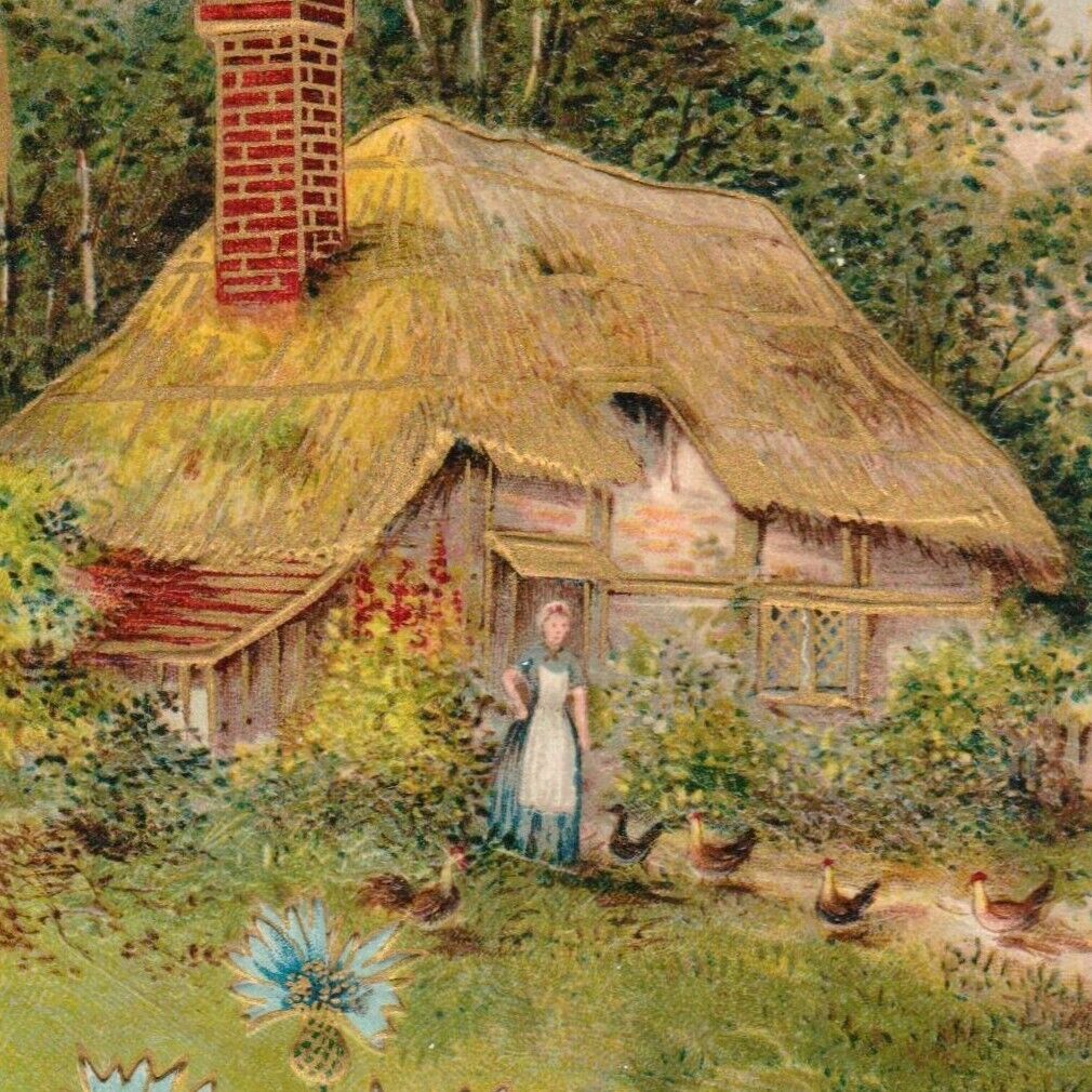Best Wishes Woman at Cottage w/ Flowers & Hens 1910s Embossed Postcard