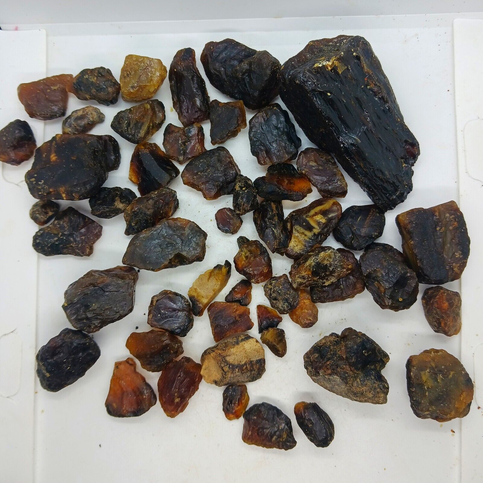 Natural amber specimen 50 piece 7oz small Raw amber black amber stone yellow amb