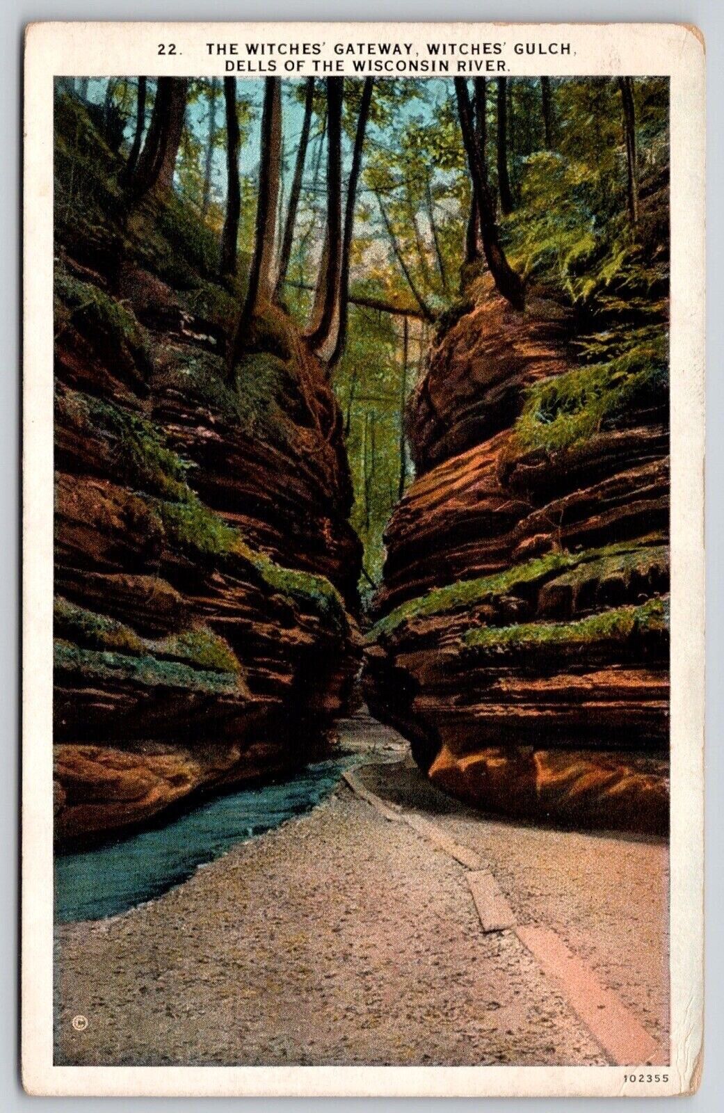 Witches Gateway Gulch Dells Wisconsin River Forest Riverfront Vintage Postcard