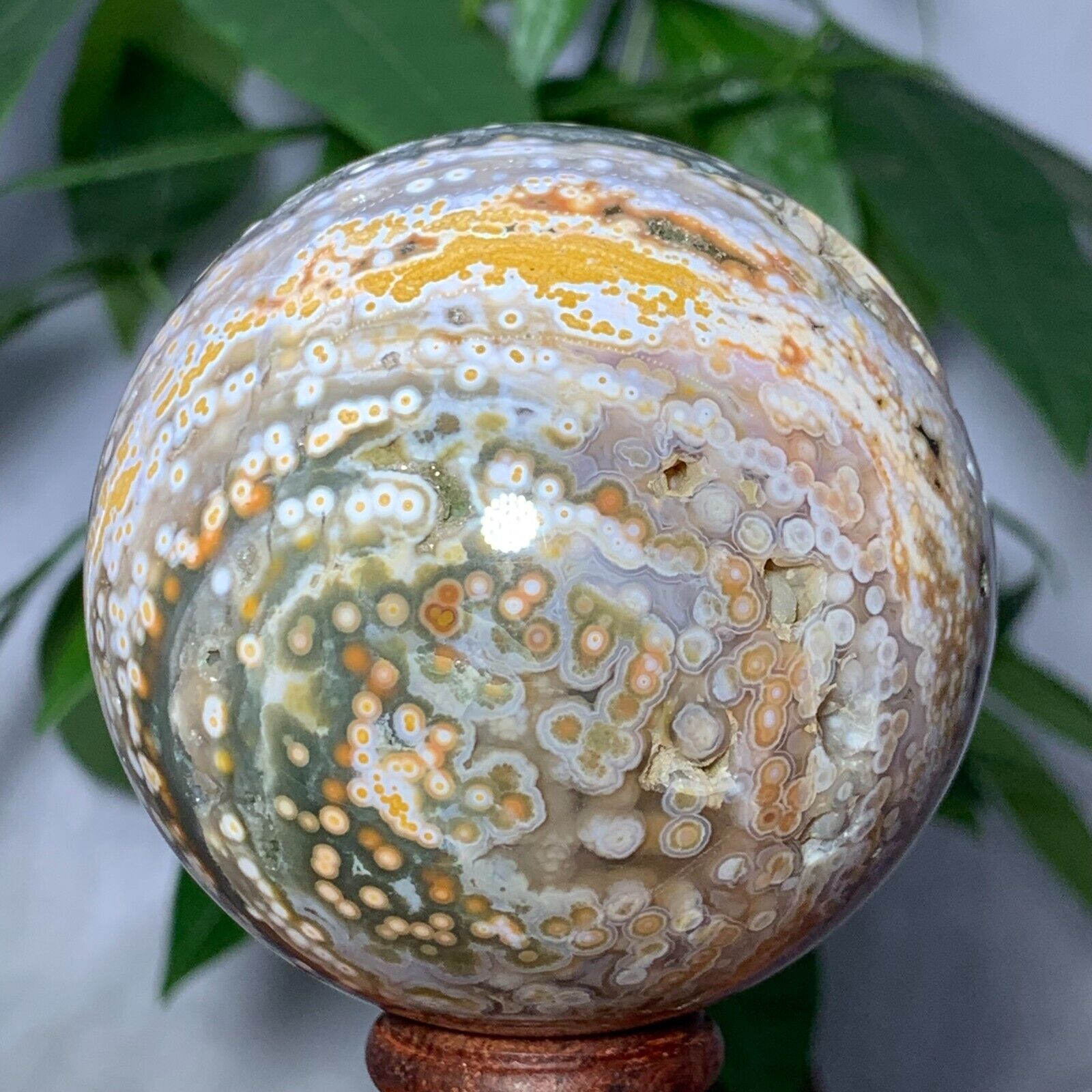 443g Rare Natural Ocean Jasper Sphere Quartz Crystal Ball Reiki Stone