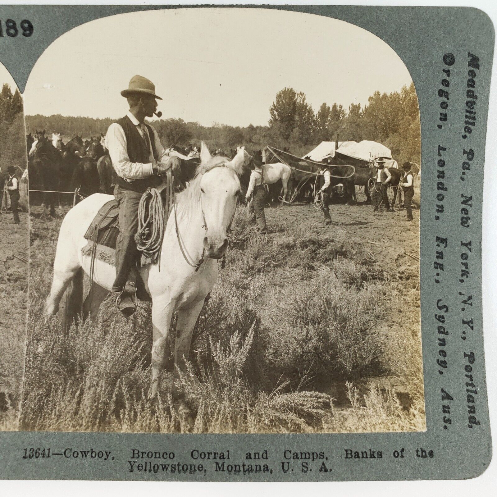 Cowboys Roping & Riding Bronco Stereoview c1904 Yellowstone Park Montana B1890