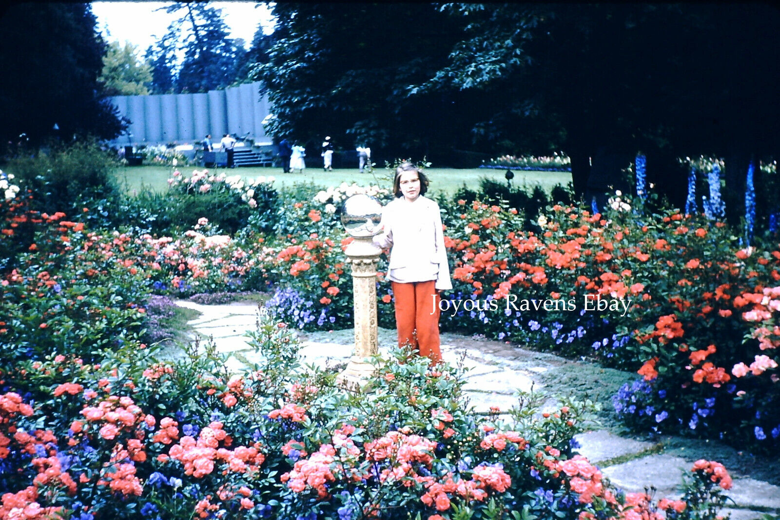 35MM Found Photo Child Standing In Flower Garden Red Border 1950s