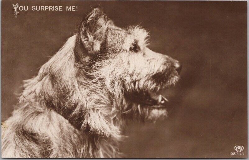 Vintage 1910s Real Photo RPPC Greetings Postcard Terrier Dog 