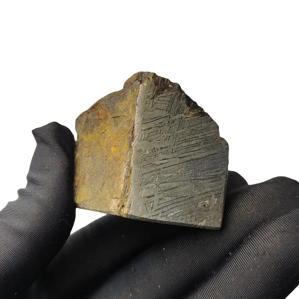 120g Muonionalusta meteorite slice TC188