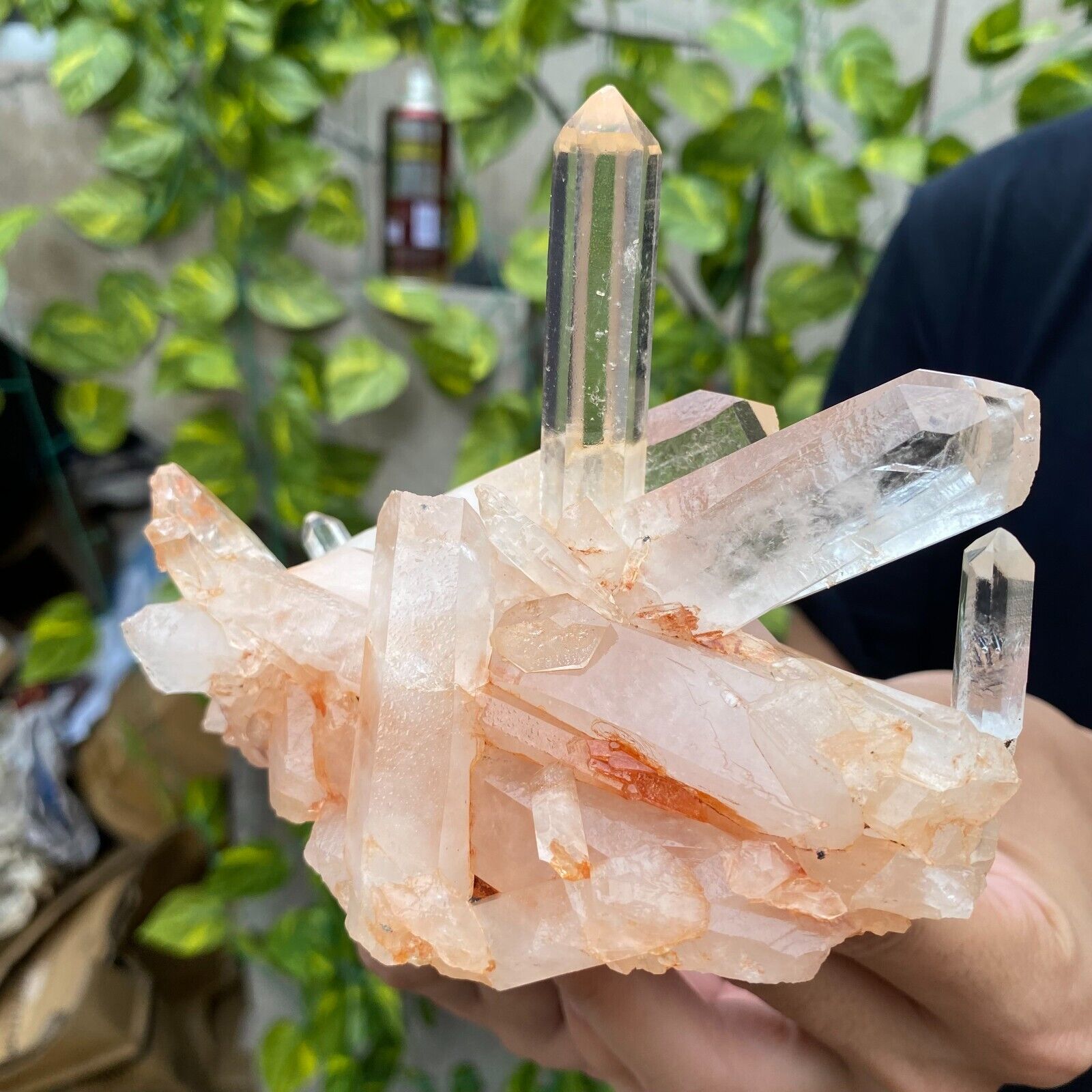 470G Natural White clear Quartz Crystal Cluster Rough Mineral Specimen Healing