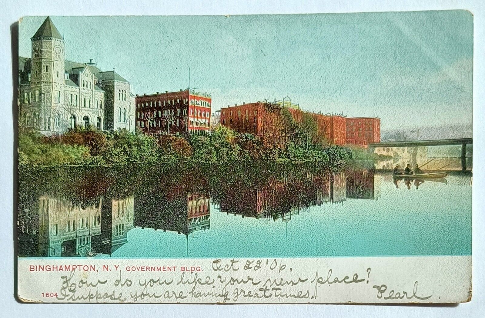 Binghamton NY New York Government Building Scenic View Vintage 1905 Postcard C4