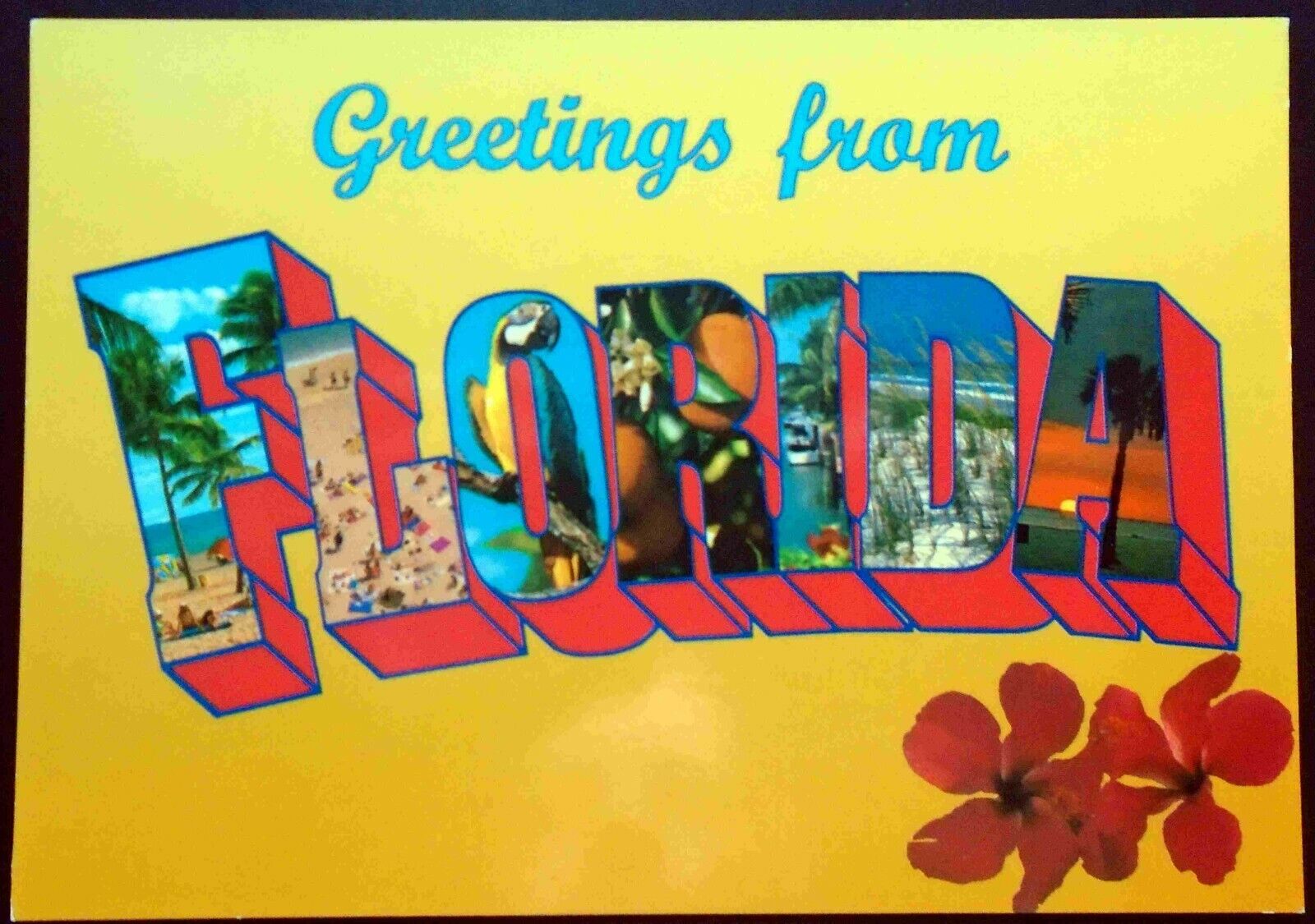 1980s “Greetings from Florida” Views of Florida inside the Big Letters 