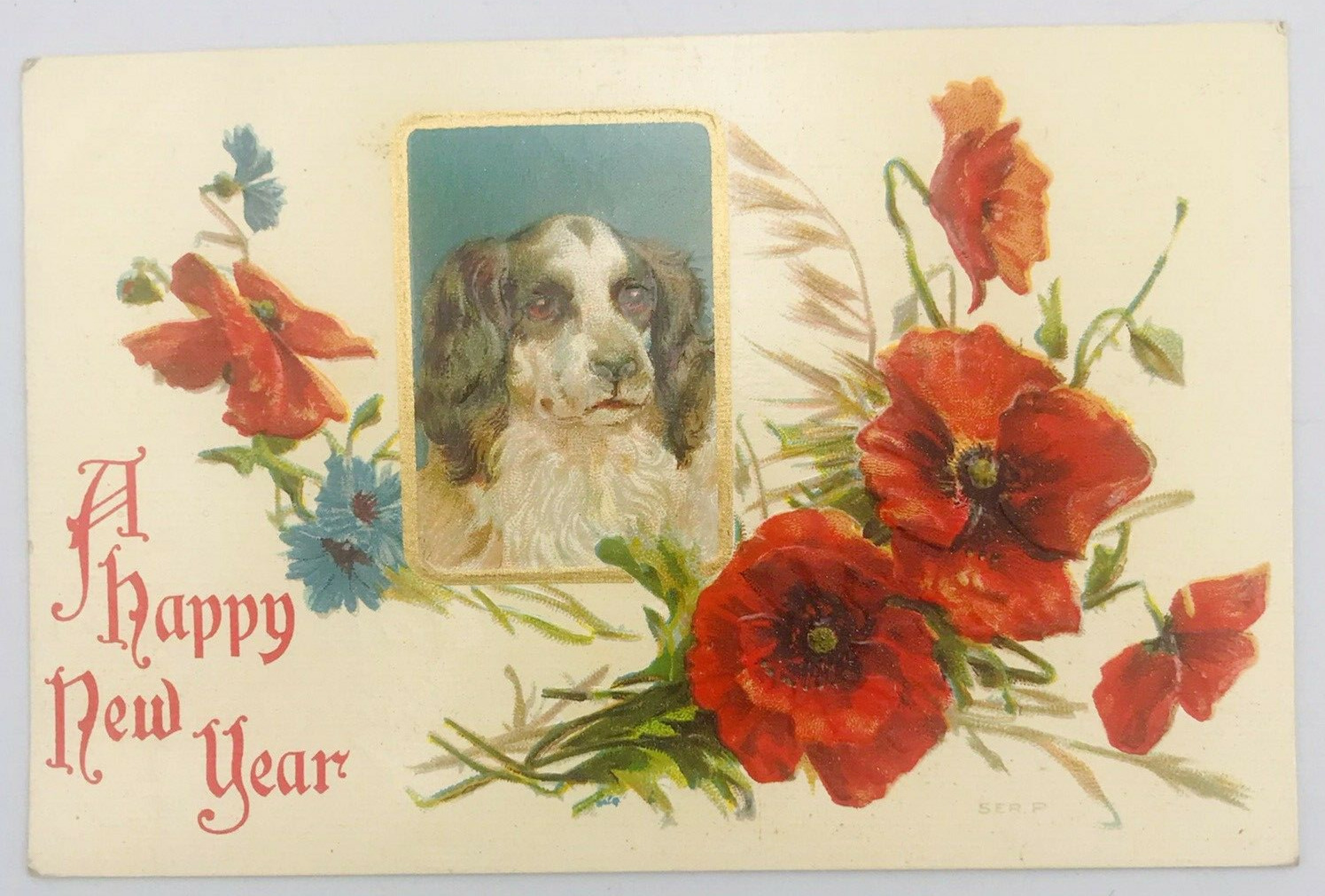 Antique 1910\'s Embossed A Happy New Year Dog w/ Flowers Postcard Unposted