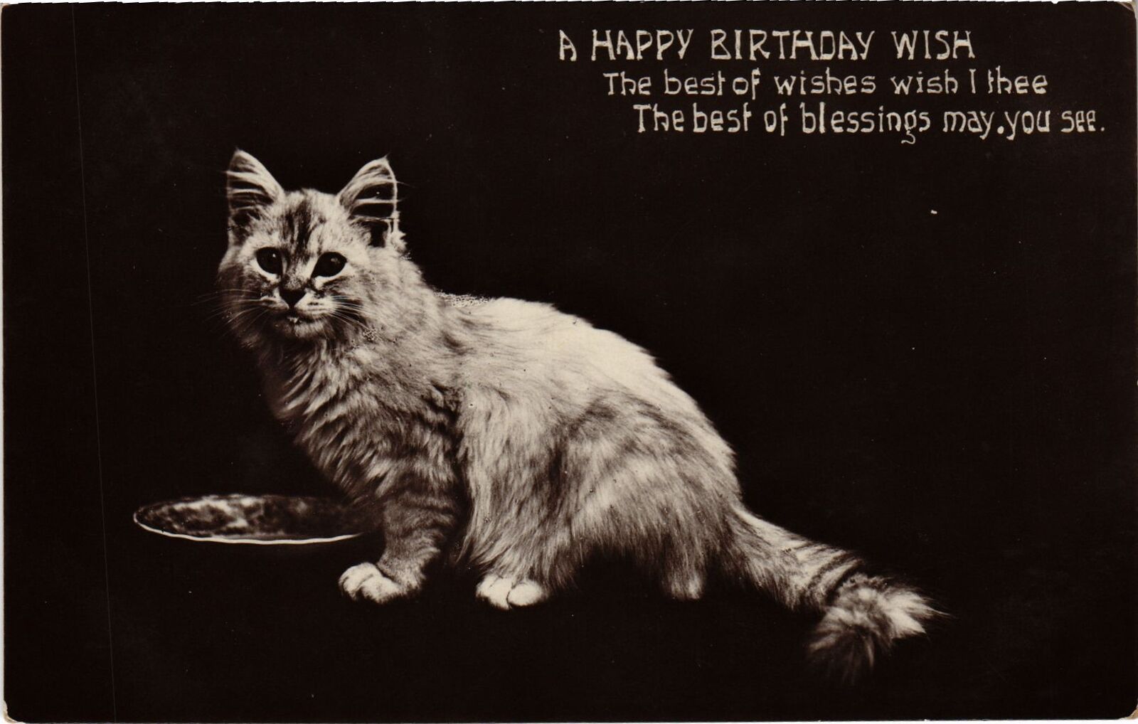 CPA AK A Happy Birthday Wish CATS (1340863)