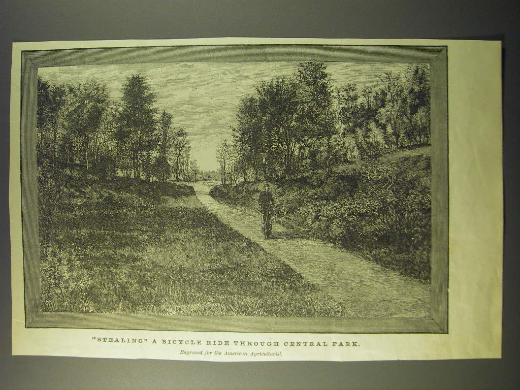 1887 Illustration of Stealing a Bicycle Ride Through Central Park