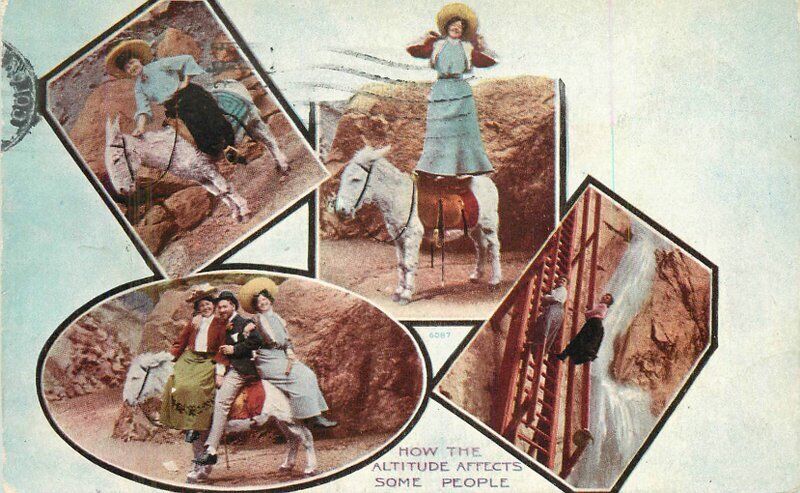 Colorado 1914 Donkey Humor multi View Postcard 22-6810